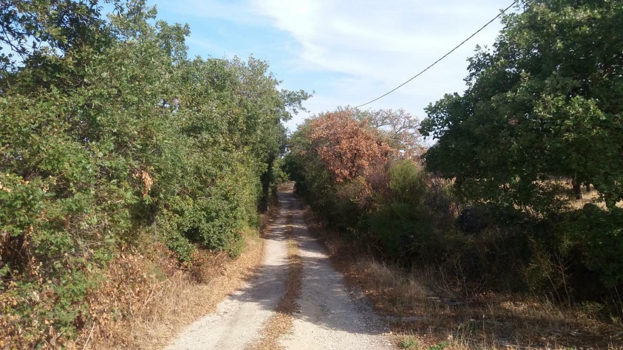 Agriturismo Sa E Padedda Mores Exterior foto