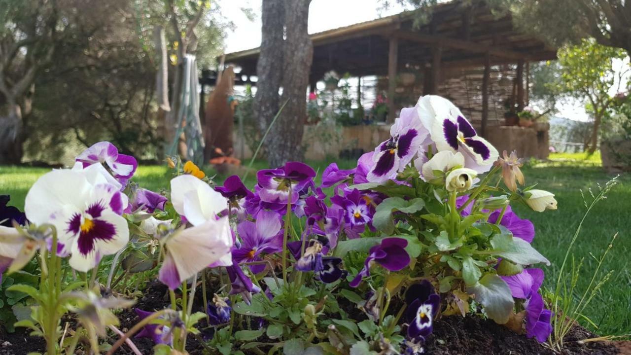 Agriturismo Sa E Padedda Mores Exterior foto
